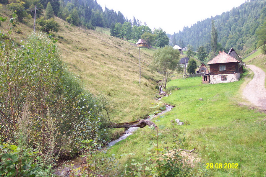 2002-08-29 12-02-18.JPG - RO Muntele Baisoara südwestlich von Cluj